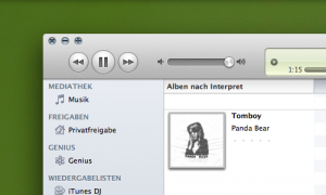 Screenshot iTunes Screenshot iTunes