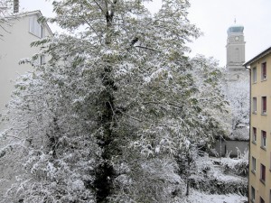 Schnee in Wipkingen - 1 Schnee in Wipkingen - 1