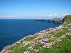 Irland, Loop's Head