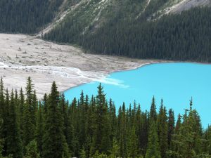 Gletscherzufluss in den Peyto Lake am Icefields Parkway, Banff National Park, Alberta, Kanada